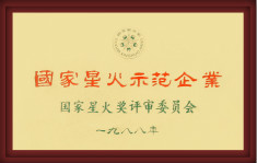 國家星火示范企業(yè)